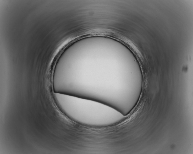 X0000098071075200804040722