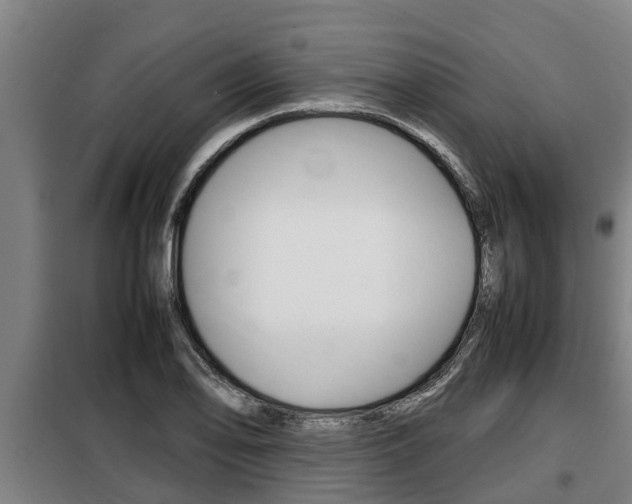 X0000098071078200804040722