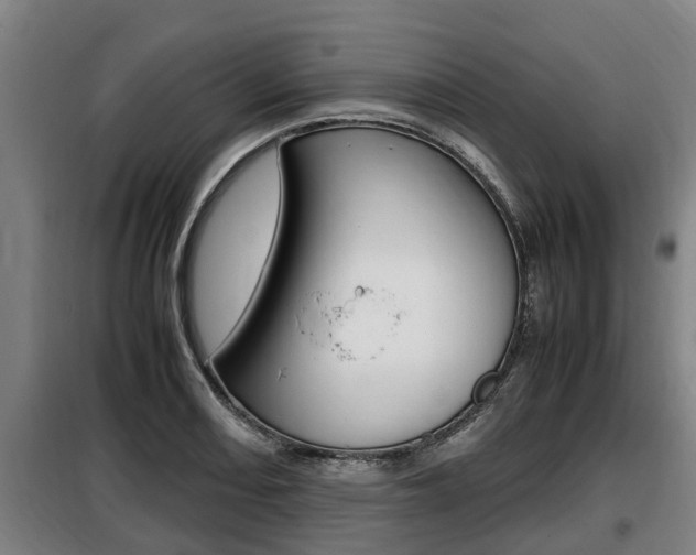 X0000098071082200804040722