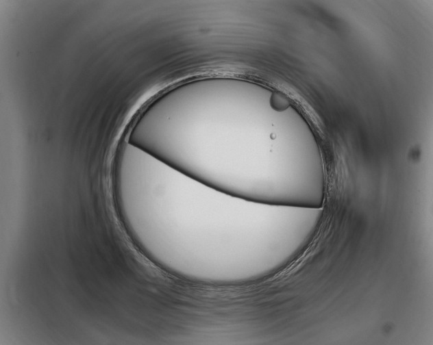 X0000098071083200804040722