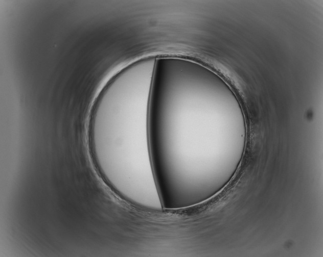 X0000098071085200804040722