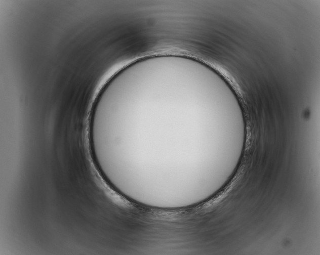 X0000098071086200804040722