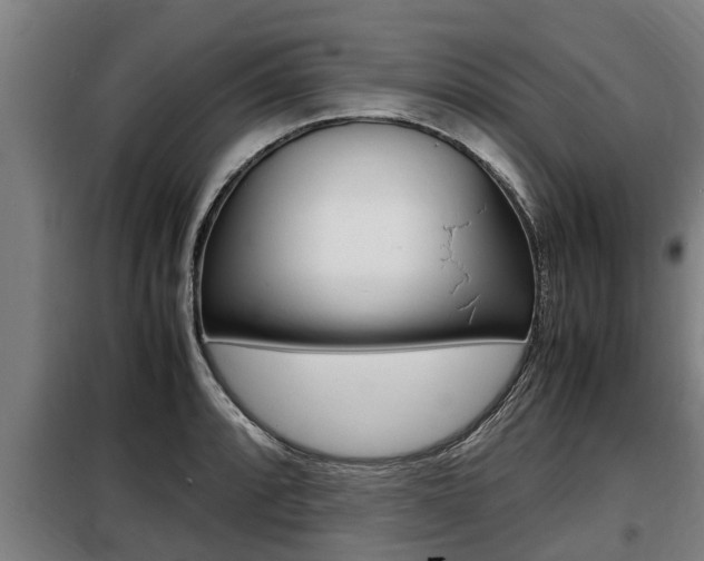 X0000098071088200804040722