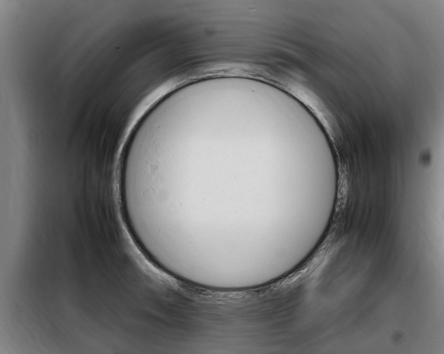 X0000098071090200804040722