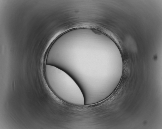 X0000098071091200804040722