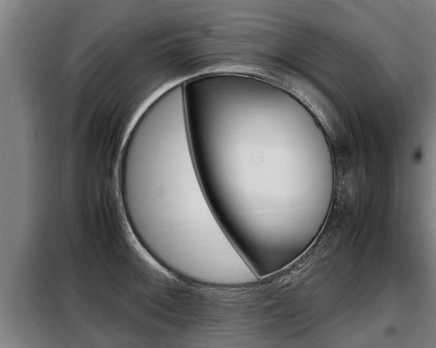 X0000098071092200804040722