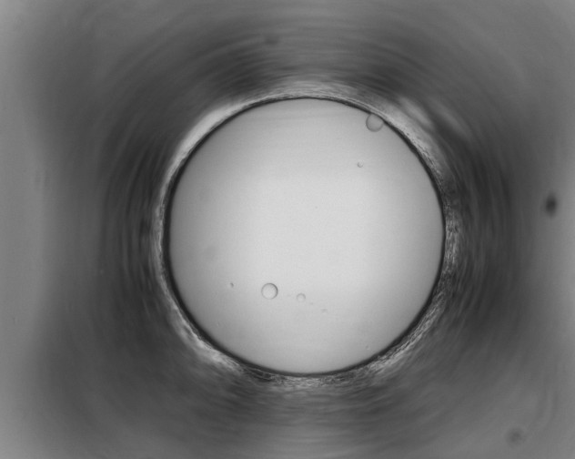 X0000098071094200804040722