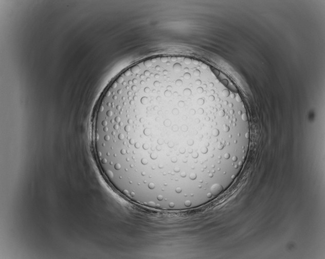 X0000098071095200804040722