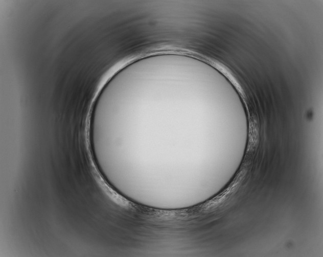 X0000098071098200804040722
