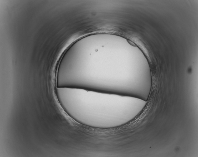 X0000098071099200804040722
