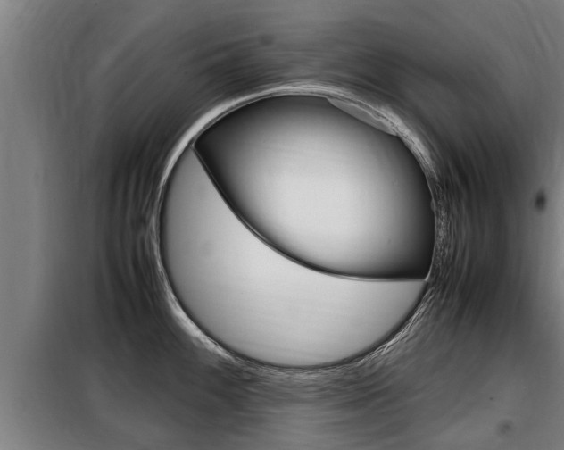 X0000098071100200804040722