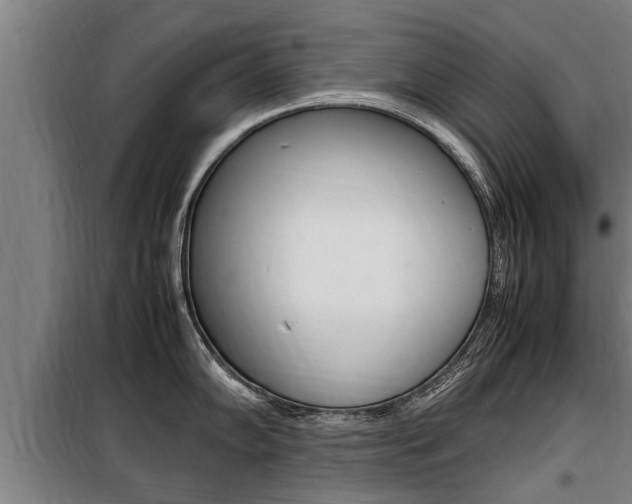X0000098071102200804040722