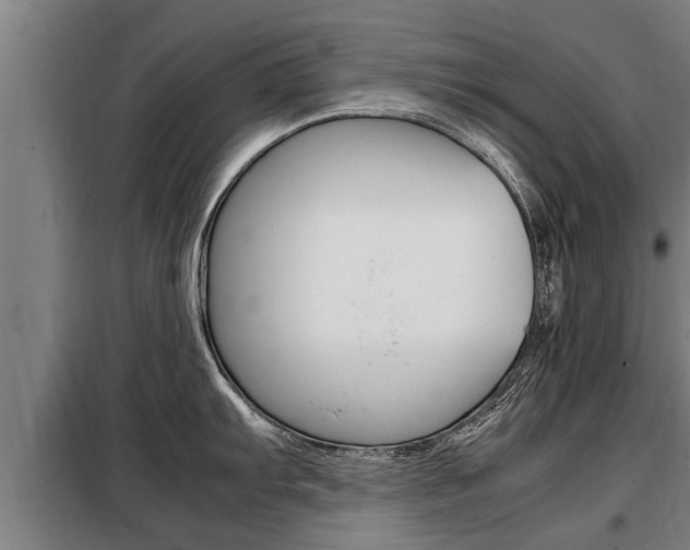 X0000098071103200804040722