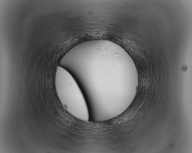 X0000098071106200804040721