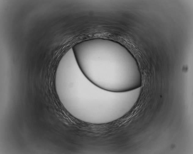 X0000098071109200804040721