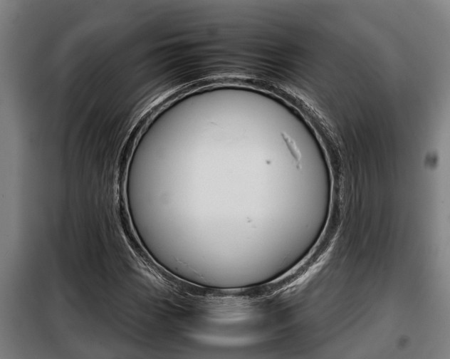 X0000098071113200804040721