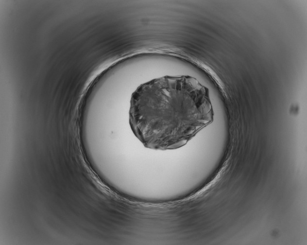 X0000098071114200804040721