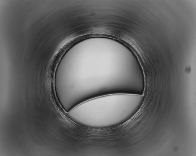 X0000098071115200804040721