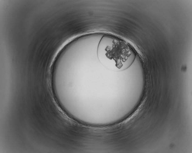 X0000098071118200804040721