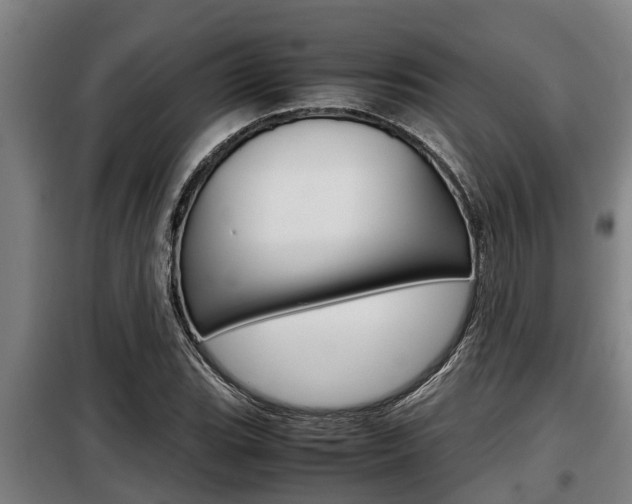 X0000098071119200804040721