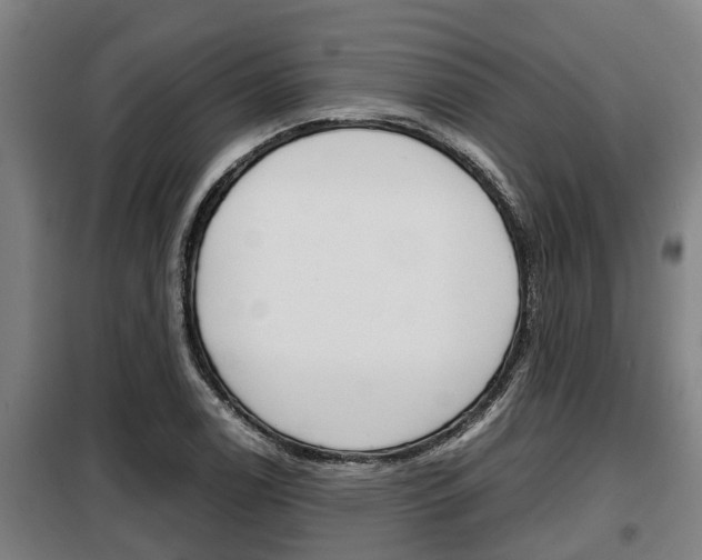 X0000098071122200804040721