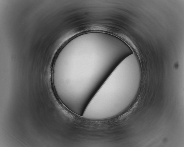 X0000098071133200804040721