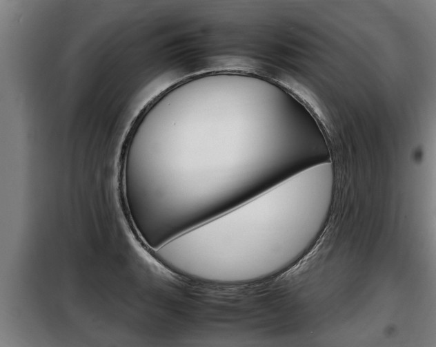 X0000098071135200804040721