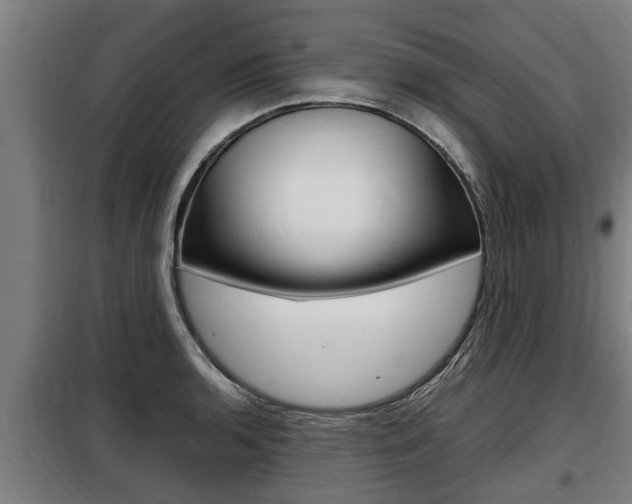 X0000098071136200804040721