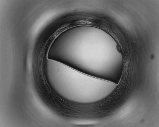 X0000098071151200804040722