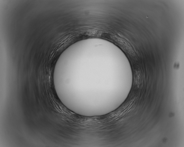 X0000098071154200804040721