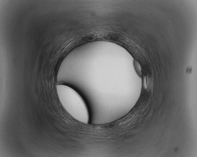 X0000098071155200804040721