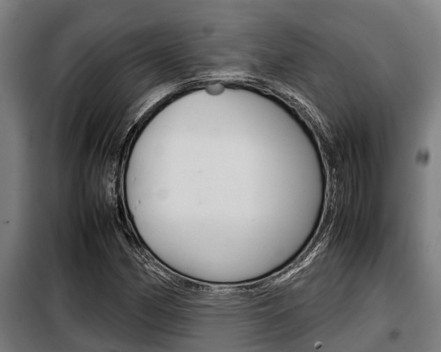X0000098071162200804040721