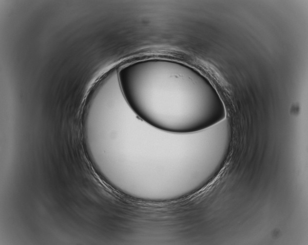 X0000098071164200804040721