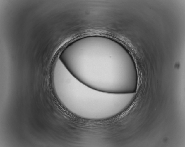 X0000098071165200804040721