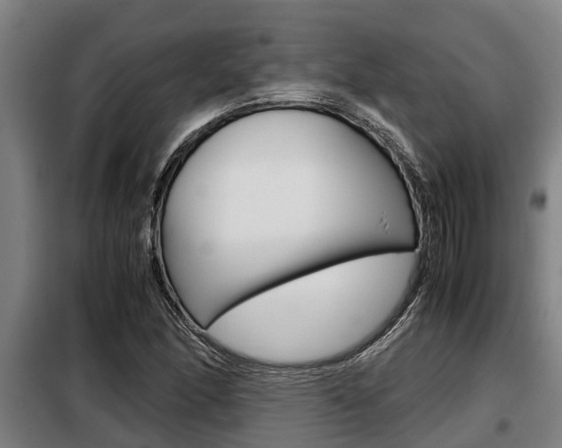 X0000098071166200804040721