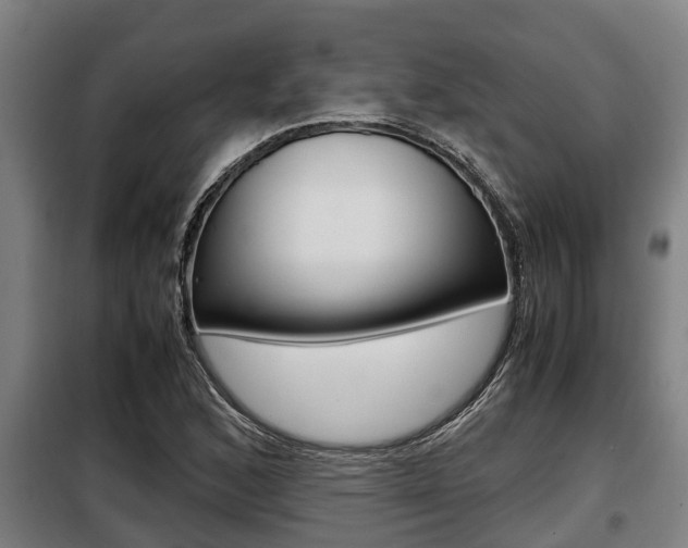 X0000098071168200804040721