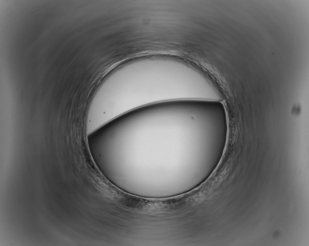 X0000098071169200804040721