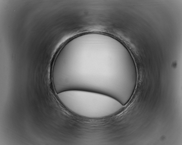 X0000098071174200804040721