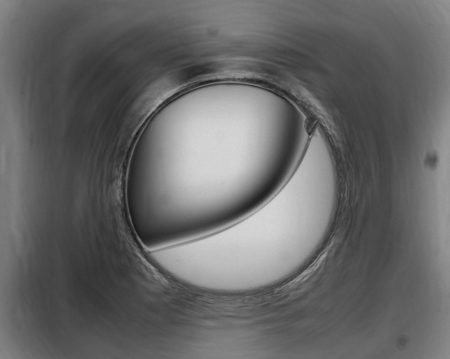 X0000098071177200804040721