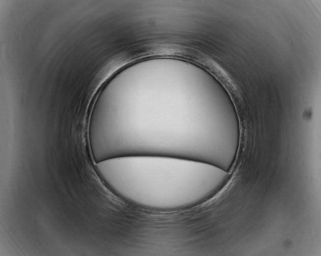 X0000098071178200804040721