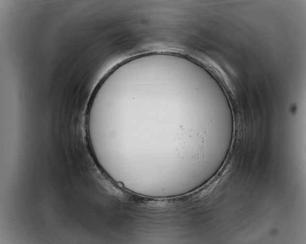 X0000098071182200804040720