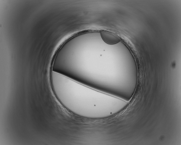 X0000098071183200804040720