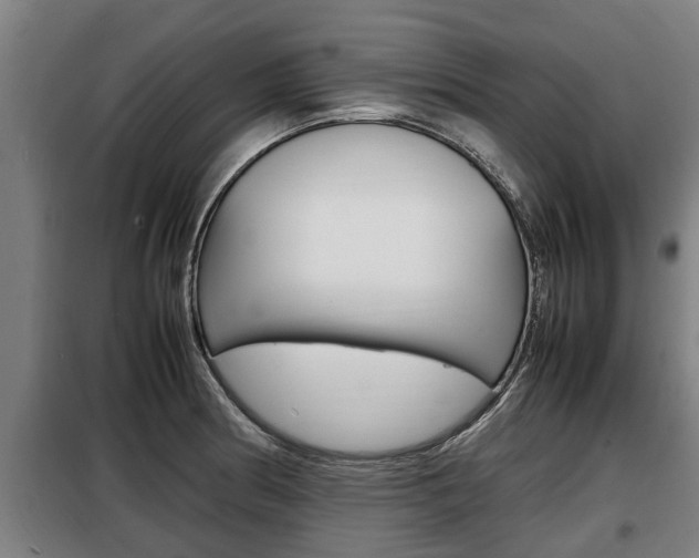 X0000098071186200804040720