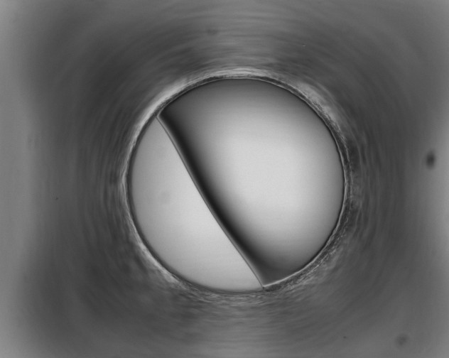 X0000098071189200804040720