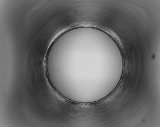 X0000098071190200804040720