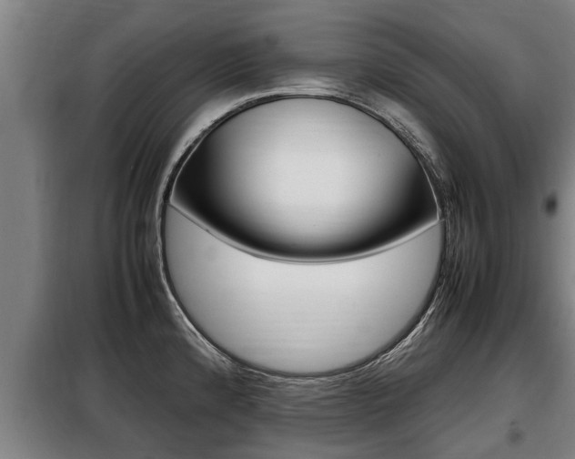 X0000098071192200804040720