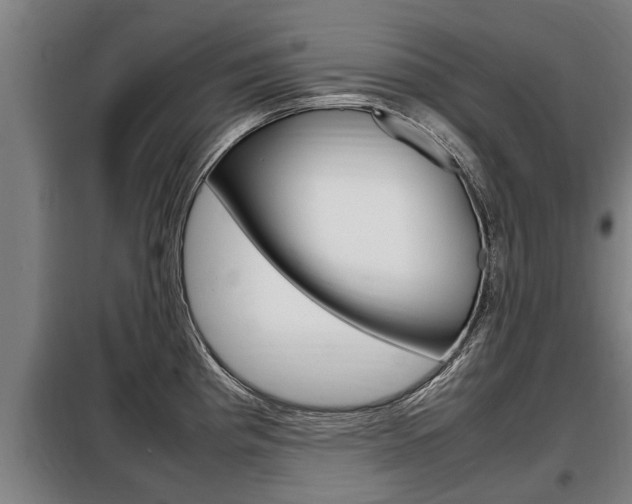 X0000098071193200804040720