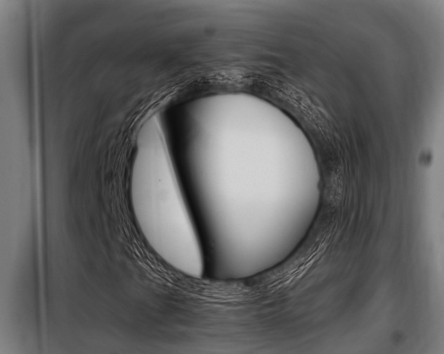 X0000098071201200804040719