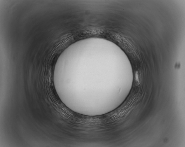 X0000098071203200804040719