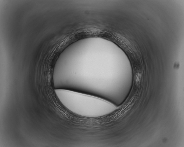 X0000098071204200804040719
